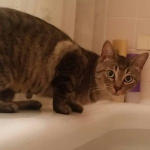 Meet your Posher, Sue